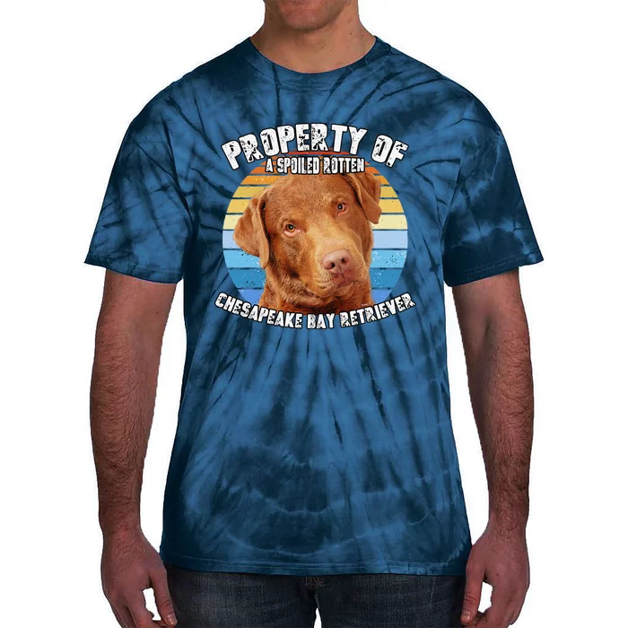 Chesapeake Bay Retriever Property Of Cute Dog Tie-Dye T-Shirt