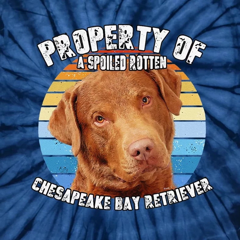 Chesapeake Bay Retriever Property Of Cute Dog Tie-Dye T-Shirt