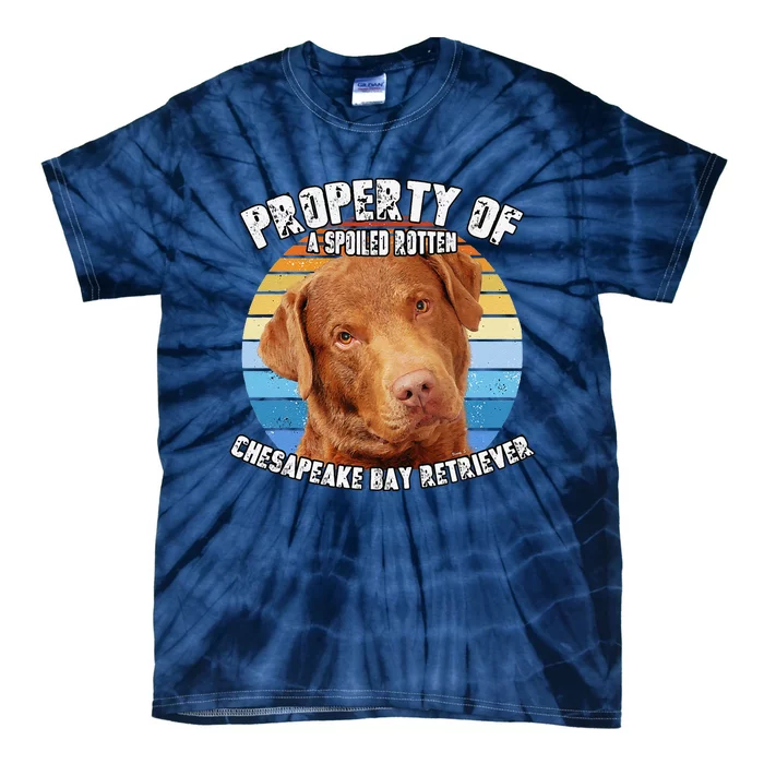 Chesapeake Bay Retriever Property Of Cute Dog Tie-Dye T-Shirt