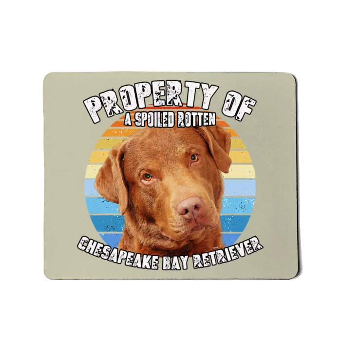 Chesapeake Bay Retriever Property Of Cute Dog Mousepad