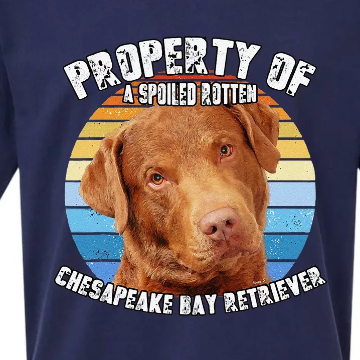 Chesapeake Bay Retriever Property Of Cute Dog Sueded Cloud Jersey T-Shirt