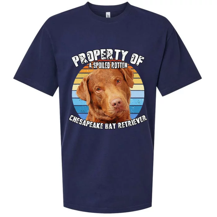 Chesapeake Bay Retriever Property Of Cute Dog Sueded Cloud Jersey T-Shirt