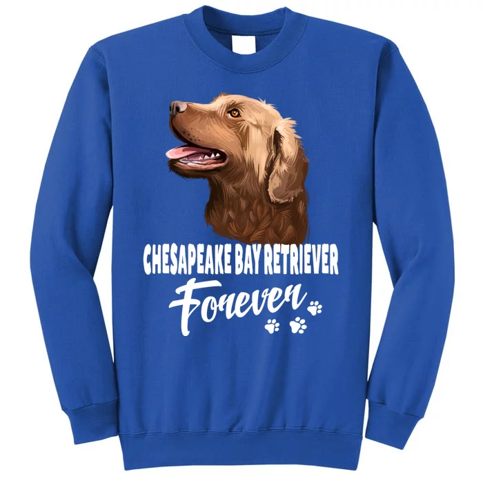 Chesapeake Bay Retriever Forever Cute Dog Lover Gift Great Gift Tall Sweatshirt