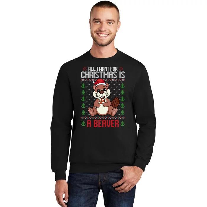 Christmas Beaver Ugly Xmas Sweater Christmas Beavers Lover Sweatshirt