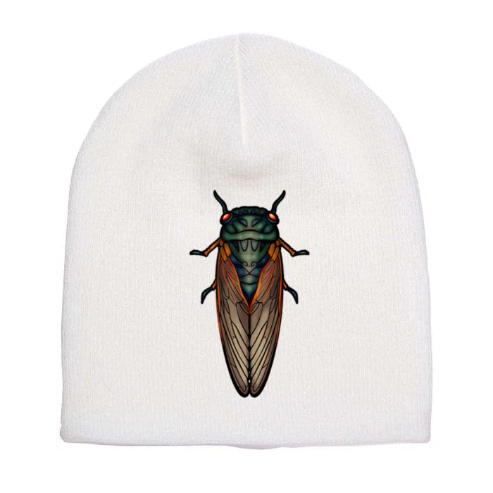 Cicada Brood X Magicicada Septendecim Red Eyed Cicadas Short Acrylic Beanie