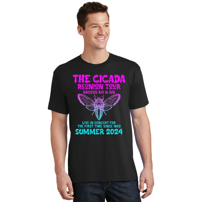 Cicada Brood Xiii Xix Summer 2024 T-Shirt