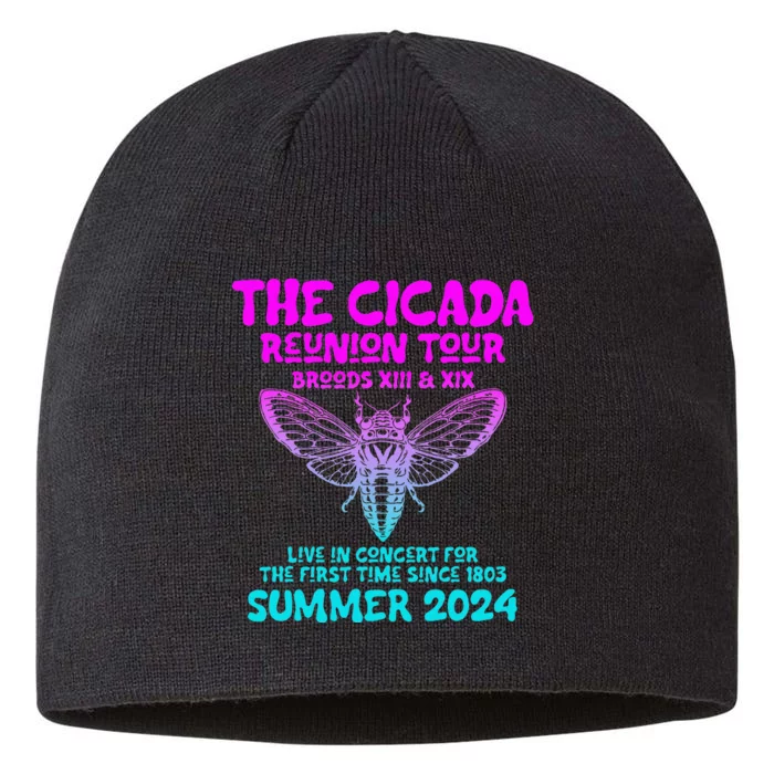 Cicada Brood Xiii Xix Summer 2024 8 1/2in Sustainable Knit Beanie