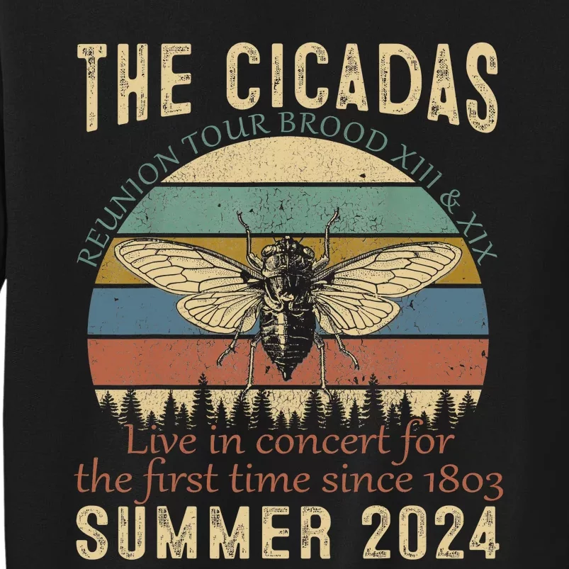 Cicada Brood Xiii Xix Summer 2024 Reunion Swarm Cicadas Sweatshirt