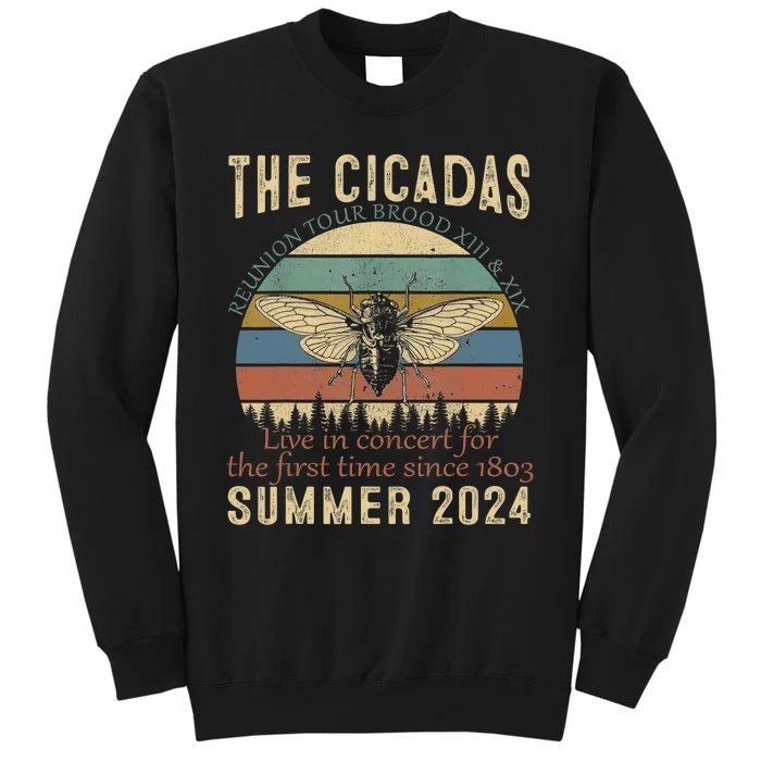 Cicada Brood Xiii Xix Summer 2024 Reunion Swarm Cicadas Tall Sweatshirt