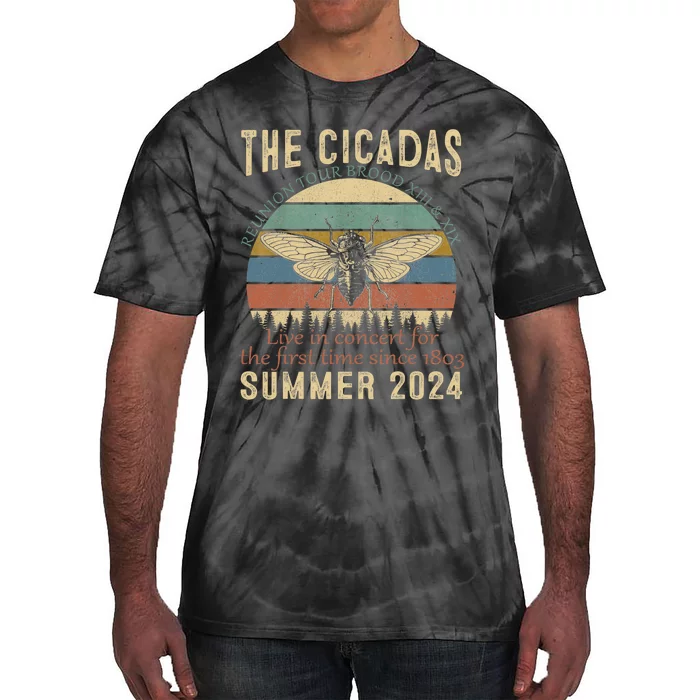 Cicada Brood Xiii Xix Summer 2024 Reunion Swarm Cicadas Tie-Dye T-Shirt