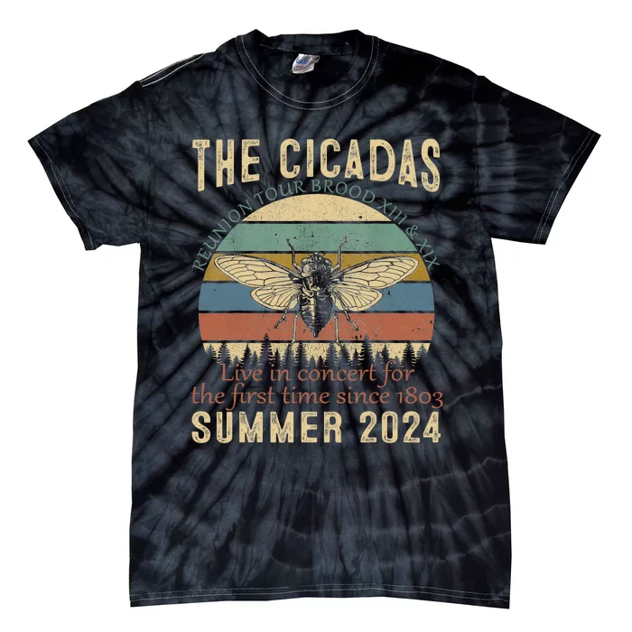 Cicada Brood Xiii Xix Summer 2024 Reunion Swarm Cicadas Tie-Dye T-Shirt