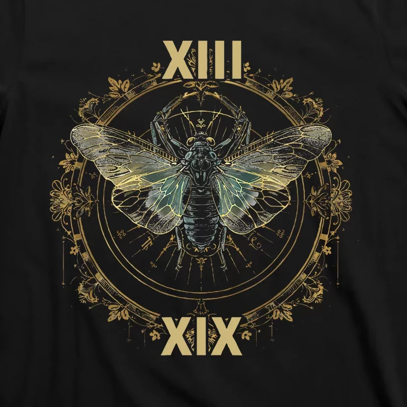 Cicada Brood Xix 2024 Cicada Brood Xiii Double Emergence T-Shirt