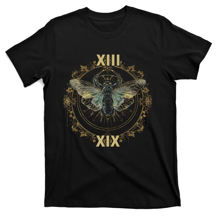 Cicada Brood Xix 2024 Cicada Brood Xiii Double Emergence T-Shirt