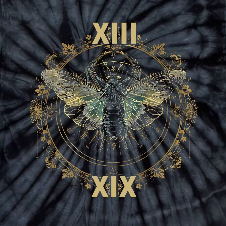 Cicada Brood Xix 2024 Cicada Brood Xiii Double Emergence Tie-Dye T-Shirt