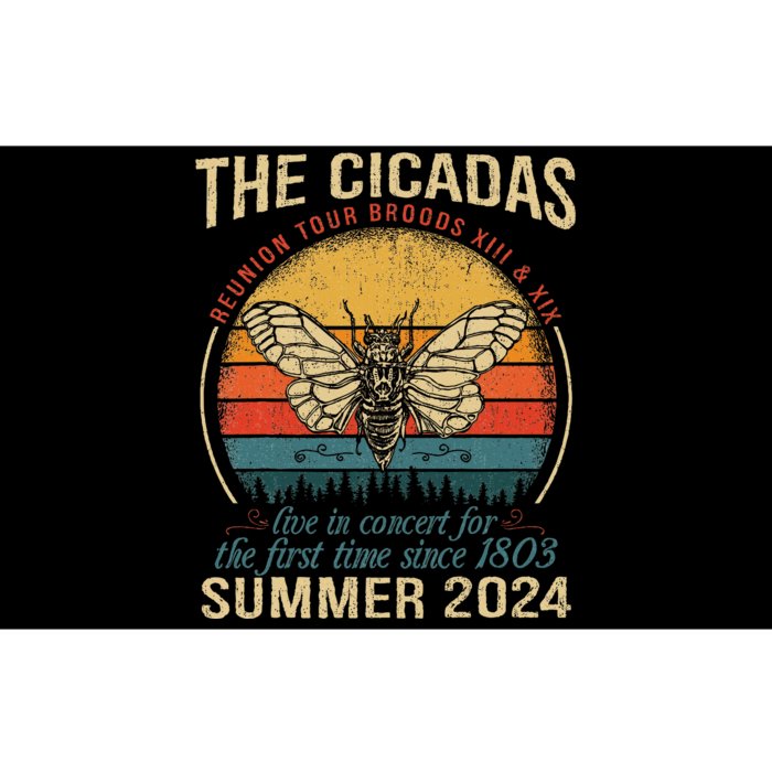 Cicada Brood Xiii Xix Summer 2024 Reunion Swarm Cicadas Bumper Sticker