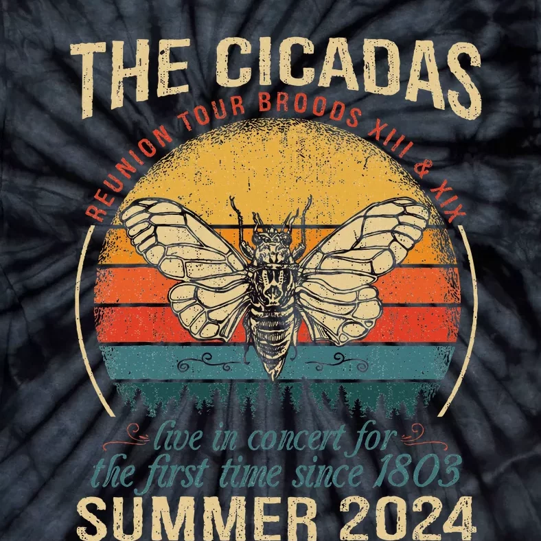 Cicada Brood Xiii Xix Summer 2024 Reunion Swarm Cicadas Tie-Dye T-Shirt