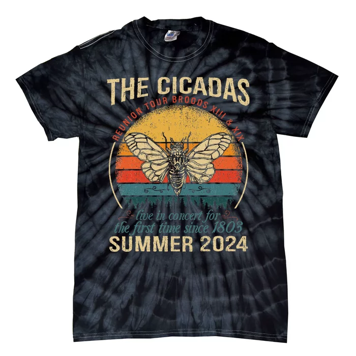 Cicada Brood Xiii Xix Summer 2024 Reunion Swarm Cicadas Tie-Dye T-Shirt