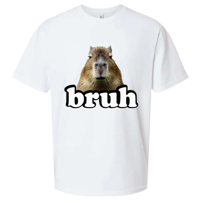 Capybara Sueded Cloud Jersey T-Shirt