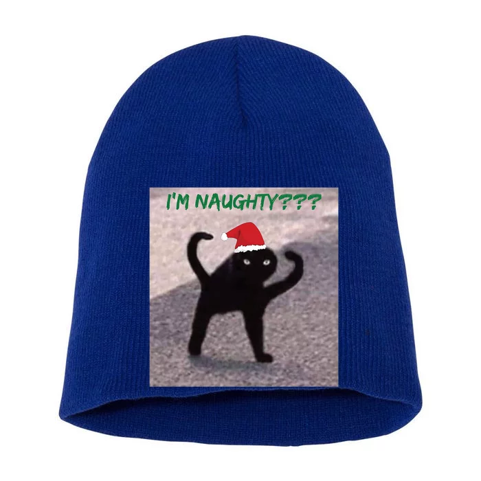 Cursed Cat Angry Meme Im Naughty? Christmas Gift Short Acrylic Beanie