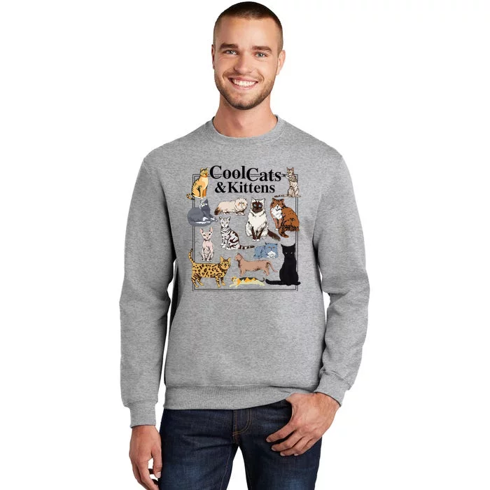 Cools Cat And Kitten Cat Types Funny Tall Sweatshirt