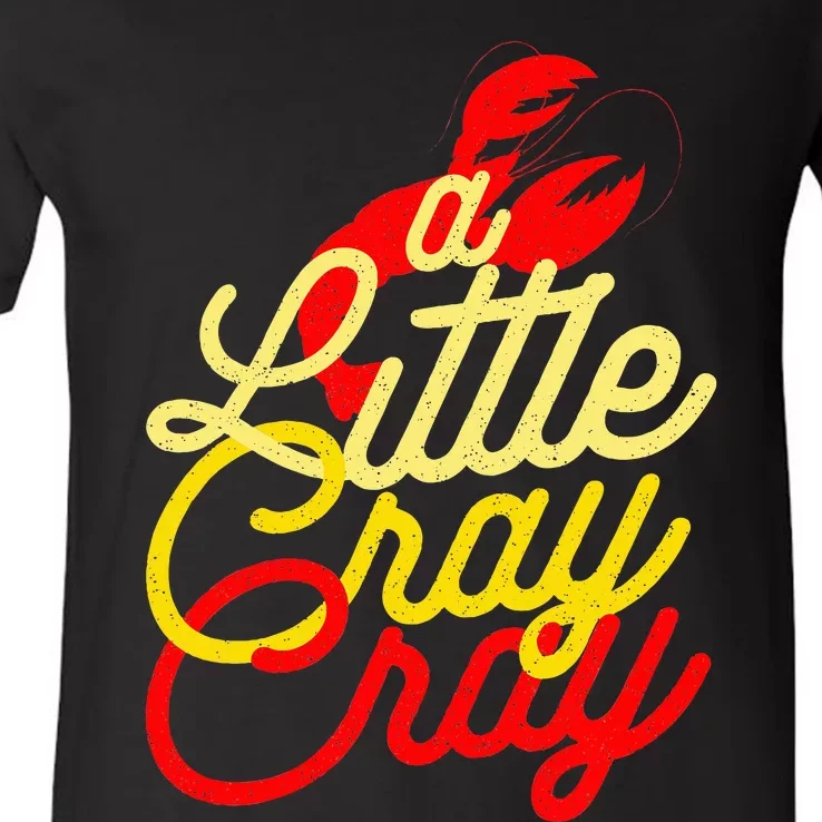 Cajun Crawfish Boil Party A Little Cray Mardi Gras Southern V-Neck T-Shirt