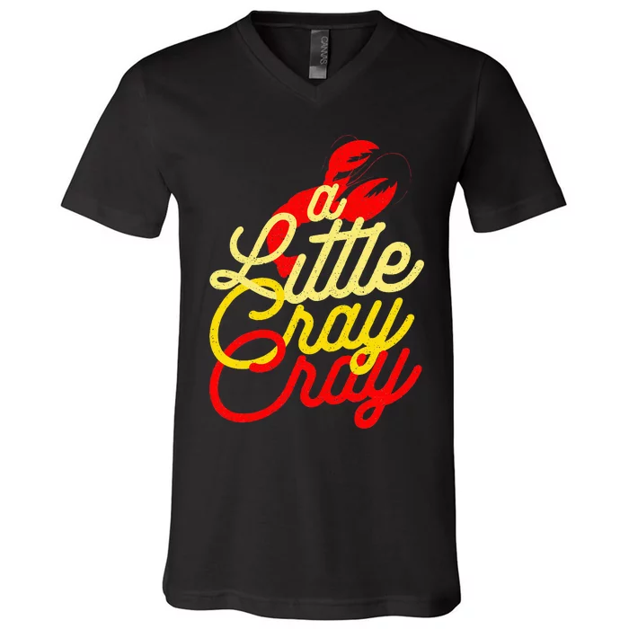 Cajun Crawfish Boil Party A Little Cray Mardi Gras Southern V-Neck T-Shirt