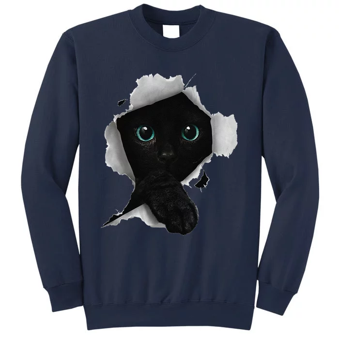 Cat Cat Black Cat Torn Cloth Kitten Sweatshirt