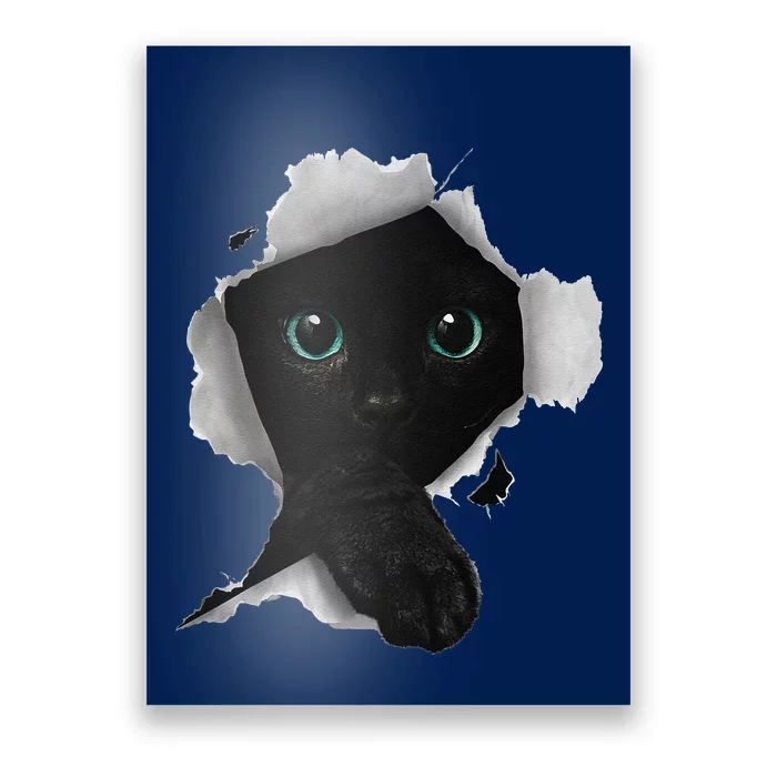 Cat Cat Black Cat Torn Cloth Kitten Poster