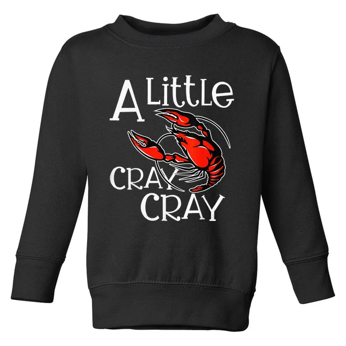 Cajun Crawfish Boil Party A Little Cray Mardi Gras Southern Toddler Sweatshirt