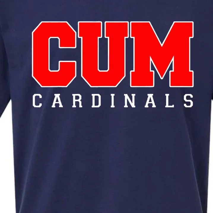 Cum Cardinal Christian University Michigancumcardinalschristianuniversitymi Sueded Cloud Jersey T-Shirt