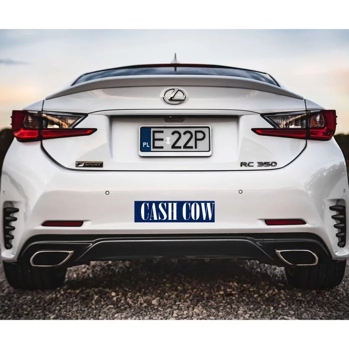 Cash Cow Bumper Sticker