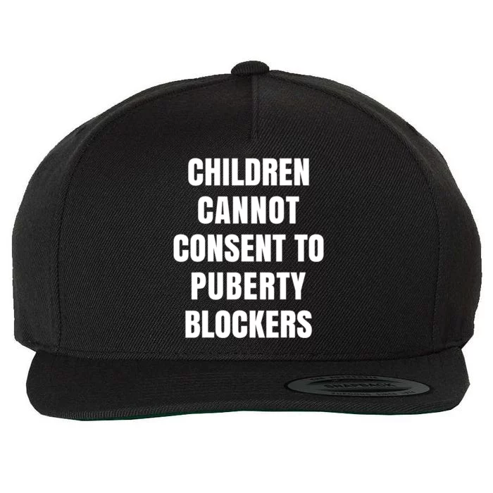 Children Cannot Consent To Puberty Blockers Wool Snapback Cap