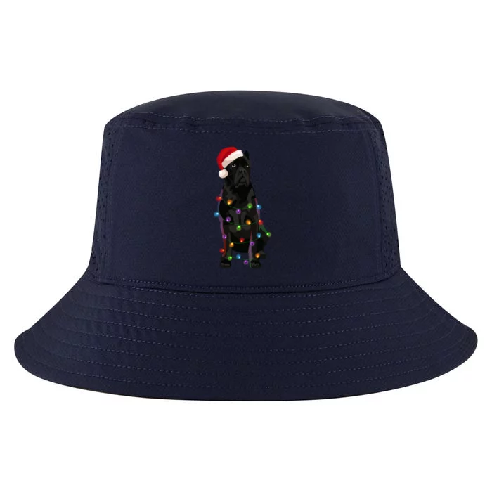 Cane Corso Christmas Lights Xmas Dog Lover Meaningful Gift Cool Comfort Performance Bucket Hat