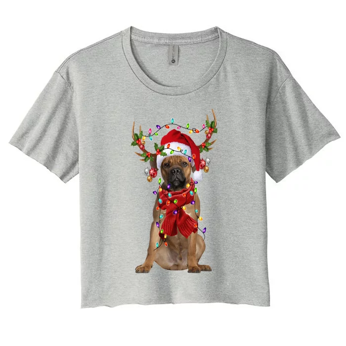 Cane Corso Christmas Snow Layers Santa Dog Ugly Xmas Gift Women's Crop Top Tee