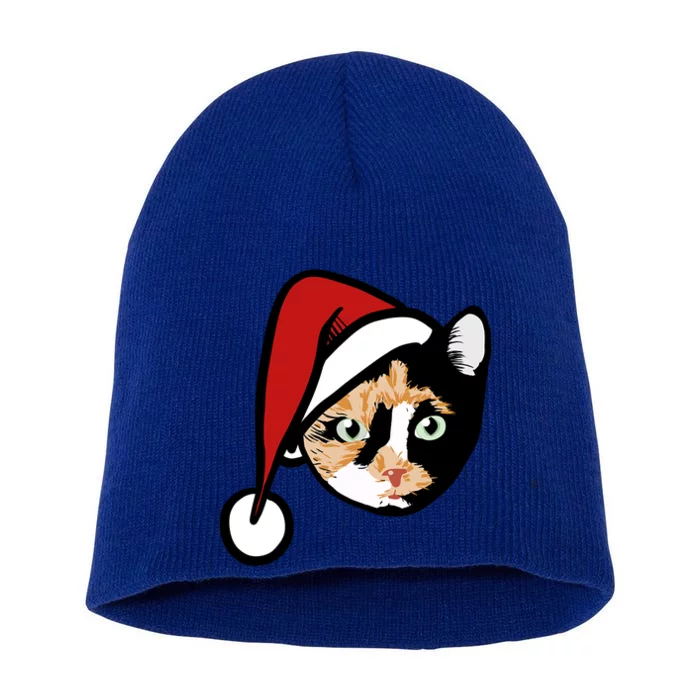 Calico Cat Christmas Gift Short Acrylic Beanie