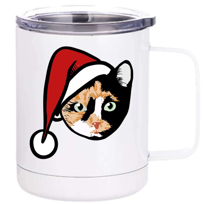 Calico Cat Christmas Gift Front & Back 12oz Stainless Steel Tumbler Cup