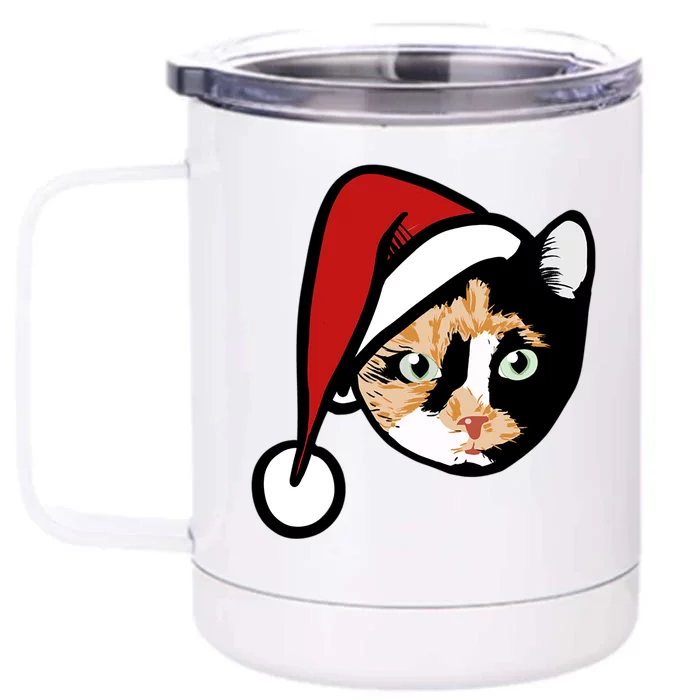 Calico Cat Christmas Gift Front & Back 12oz Stainless Steel Tumbler Cup