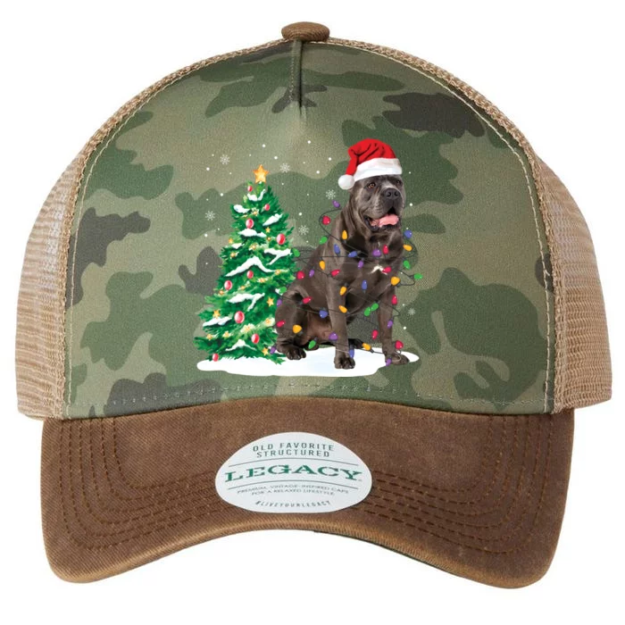 Cane Corso Christmas Tree Lights Santa Dog Xmas Funny Gift Boys Gift Legacy Tie Dye Trucker Hat