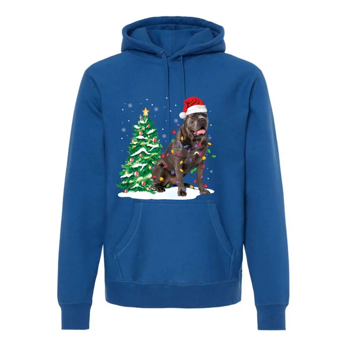 Cane Corso Christmas Tree Lights Santa Dog Xmas Funny Gift Boys Gift Premium Hoodie