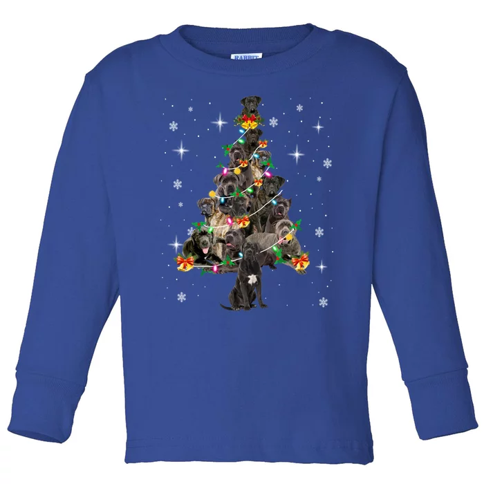 Cane Corso Christmas Tree Lights Xmas Pajama Dog Lover Mom Gift Toddler Long Sleeve Shirt