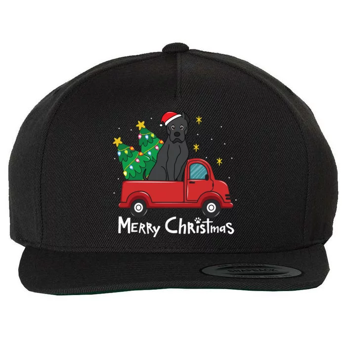 Cane Corso Christmas Truck Tree Mom Dad Dog Xmas Gift Wool Snapback Cap