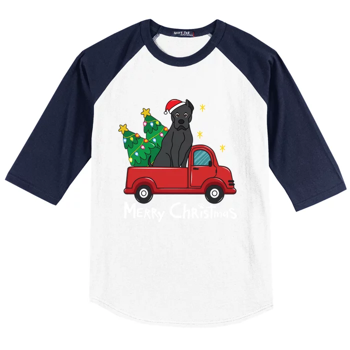 Cane Corso Christmas Truck Tree Mom Dad Dog Xmas Gift Baseball Sleeve Shirt