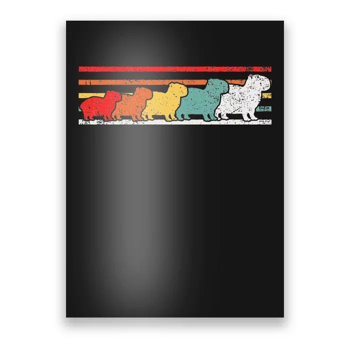 Capybara Capybaras Poster