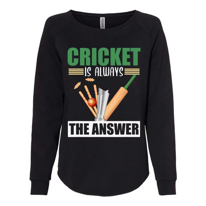 Cool Cricket Coach Funny Cricketer Humor Team Sports Trainer Womens California Wash Sweatshirt