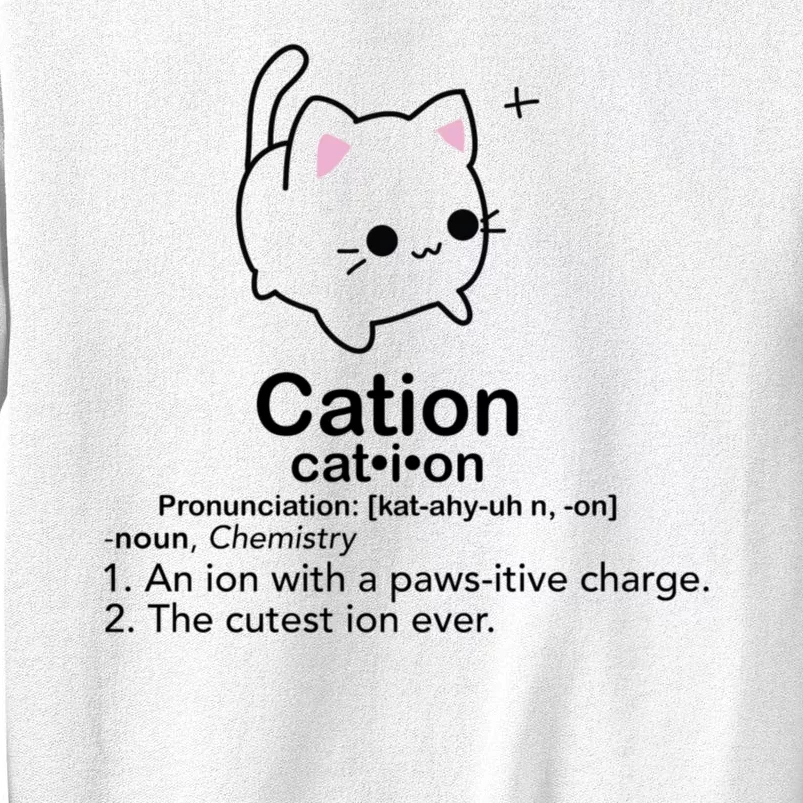 Cat Cation Cute Kitty Cation Sweatshirt