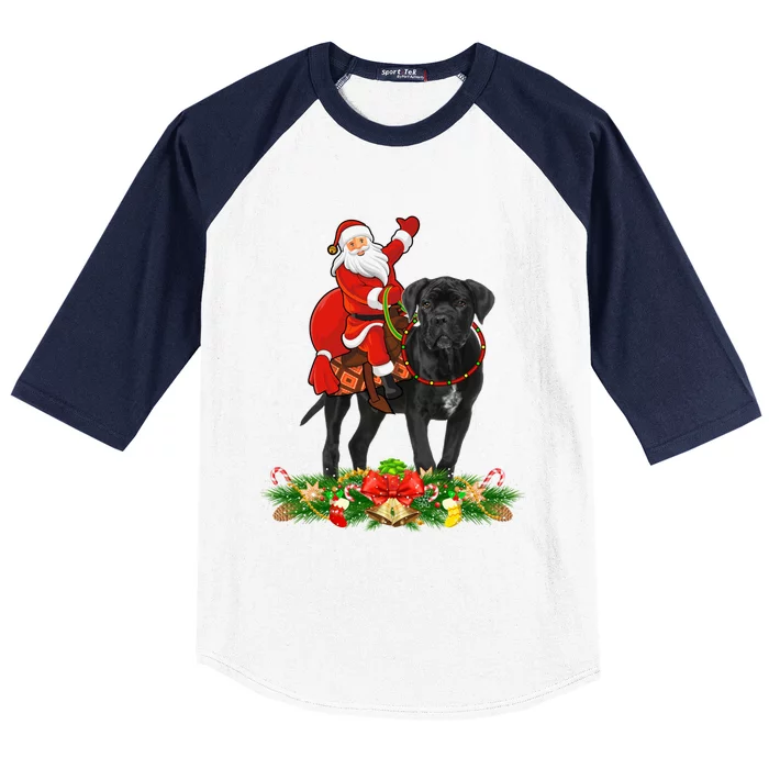 Cane Corso Dog Xmas Funny Santa Riding Cane Corso Christmas Gift Baseball Sleeve Shirt