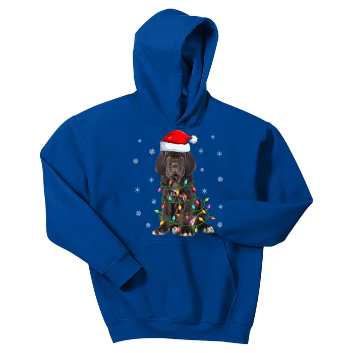 Cane Corso Dog Xmas Lighting Santa Hat Cane Corso Christmas Funny Gift Kids Hoodie