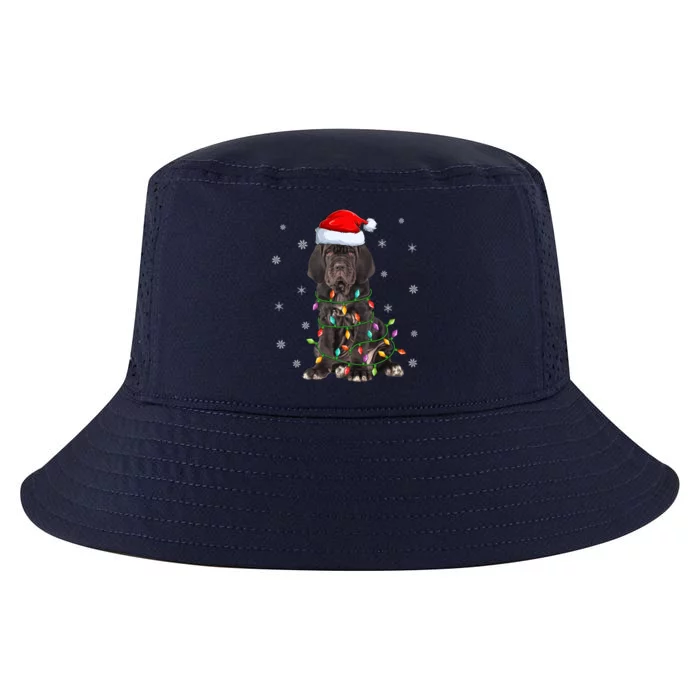 Cane Corso Dog Xmas Lighting Santa Hat Cane Corso Christmas Funny Gift Cool Comfort Performance Bucket Hat