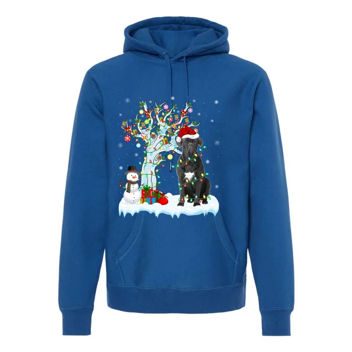 Cane Corso Dog Xmas Tree Lighting Santa Cane Corso Christmas Gift Premium Hoodie