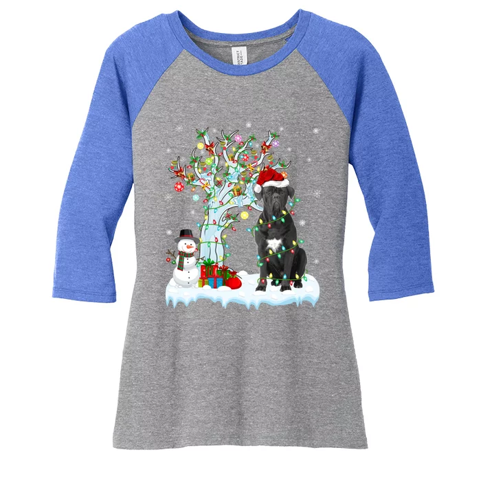 Cane Corso Dog Xmas Tree Lighting Santa Cane Corso Christmas Gift Women's Tri-Blend 3/4-Sleeve Raglan Shirt